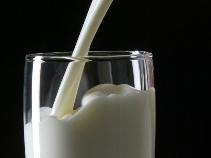 Sử dụng sữa tươi không đường có thể giúp loại bỏ các vết nhăn trên áo da